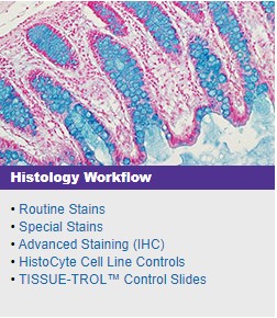 Histology Workflow